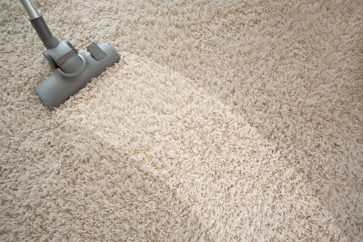 Top 10 Best Carpet Cleaners in Pittsburgh PA - Angi [Angie's List]